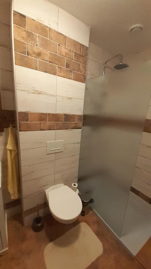 Rodinny Pension U Soudku Rudník Exteriör bild